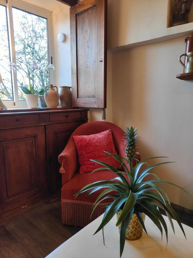 Maison Ancienne Romantique Avec Terrasse Panoramique Vaison-la-Romaine Luaran gambar